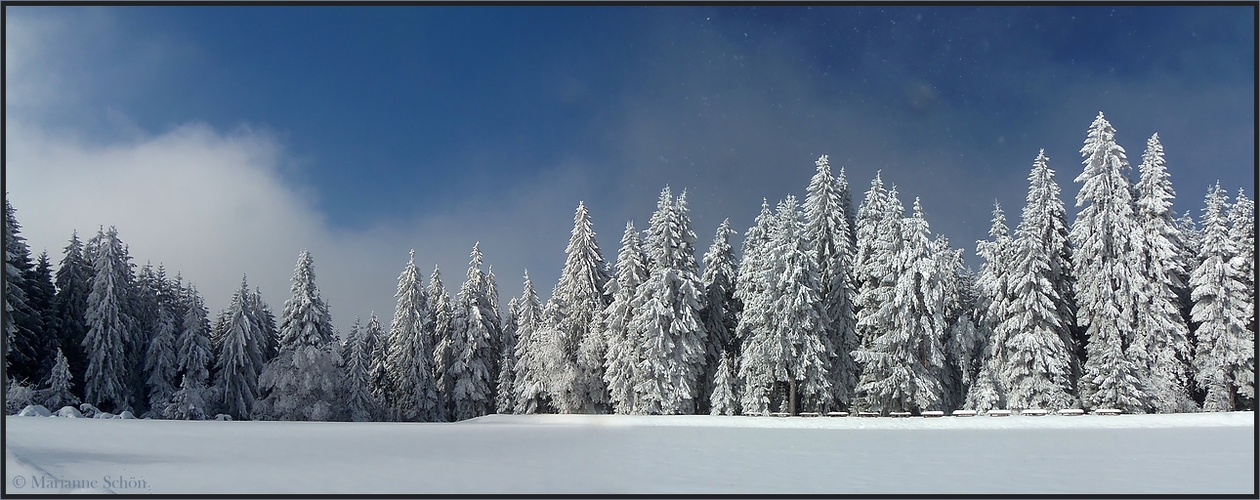 Wintermärchen ...