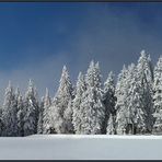 Wintermärchen ...