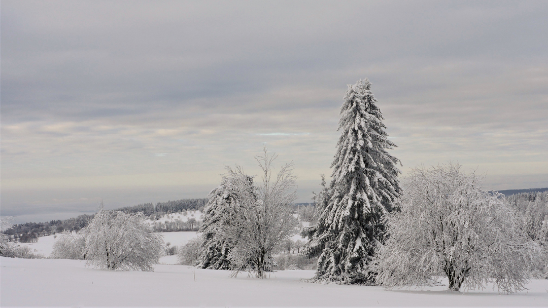 "Wintermärchen"