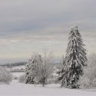 "Wintermärchen"