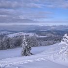 Wintermärchen...