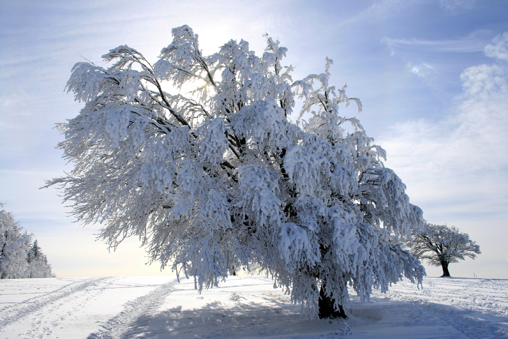 Wintermärchen