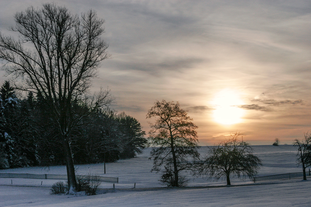 "Wintermärchen"