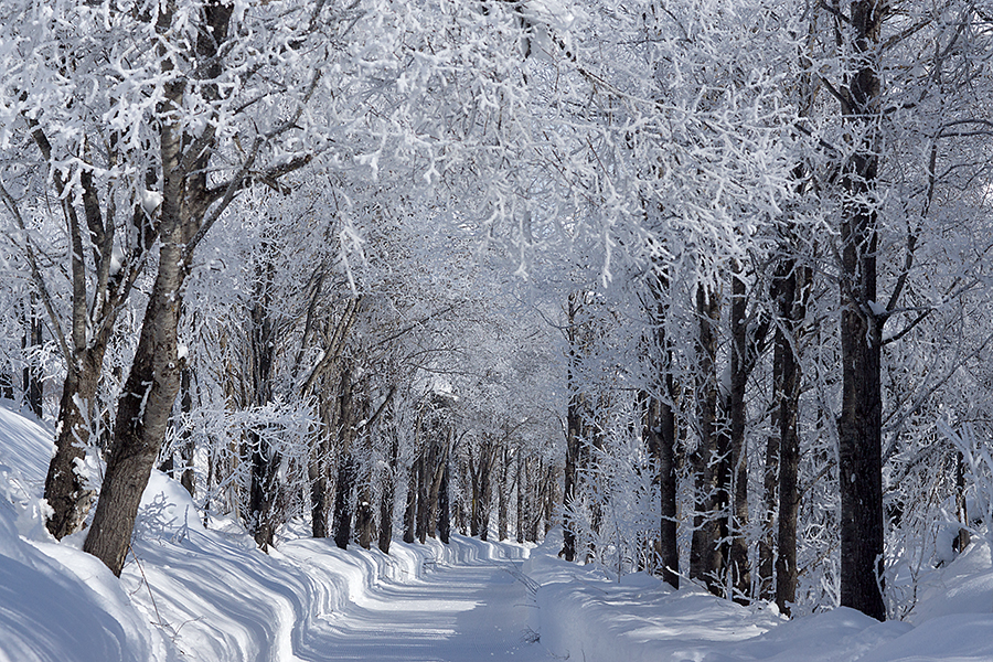 Wintermärchen