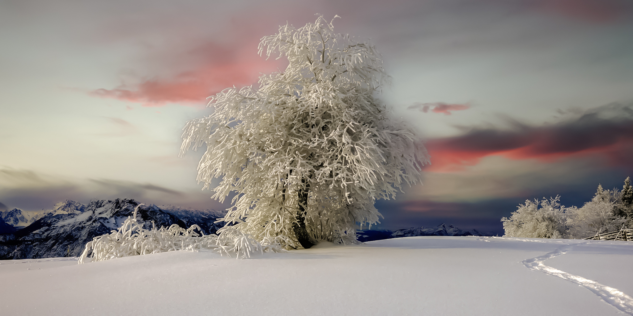 Wintermärchen. 