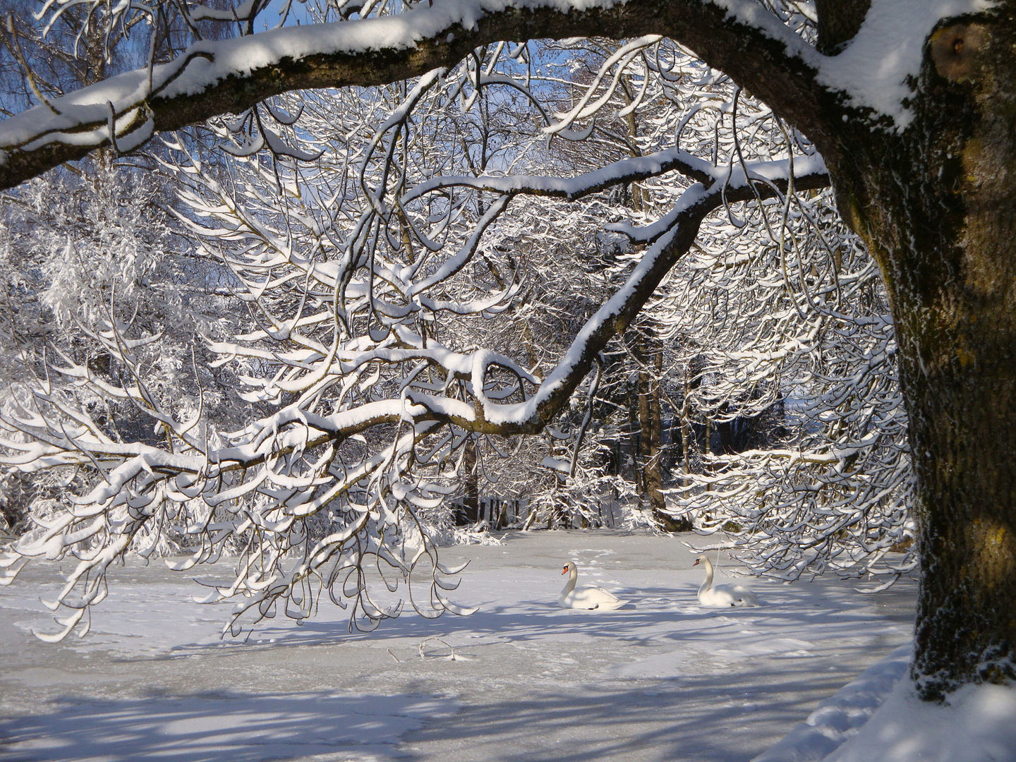 Wintermärchen