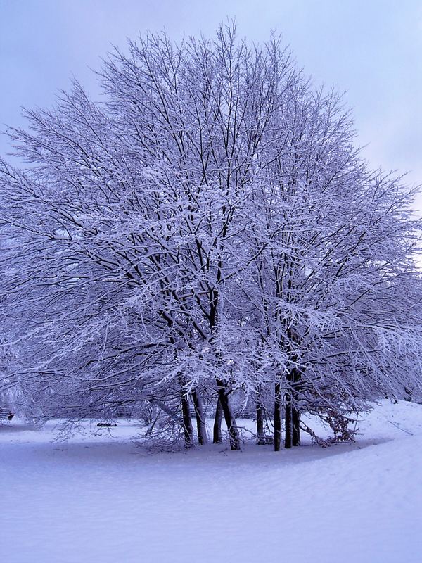 Wintermärchen