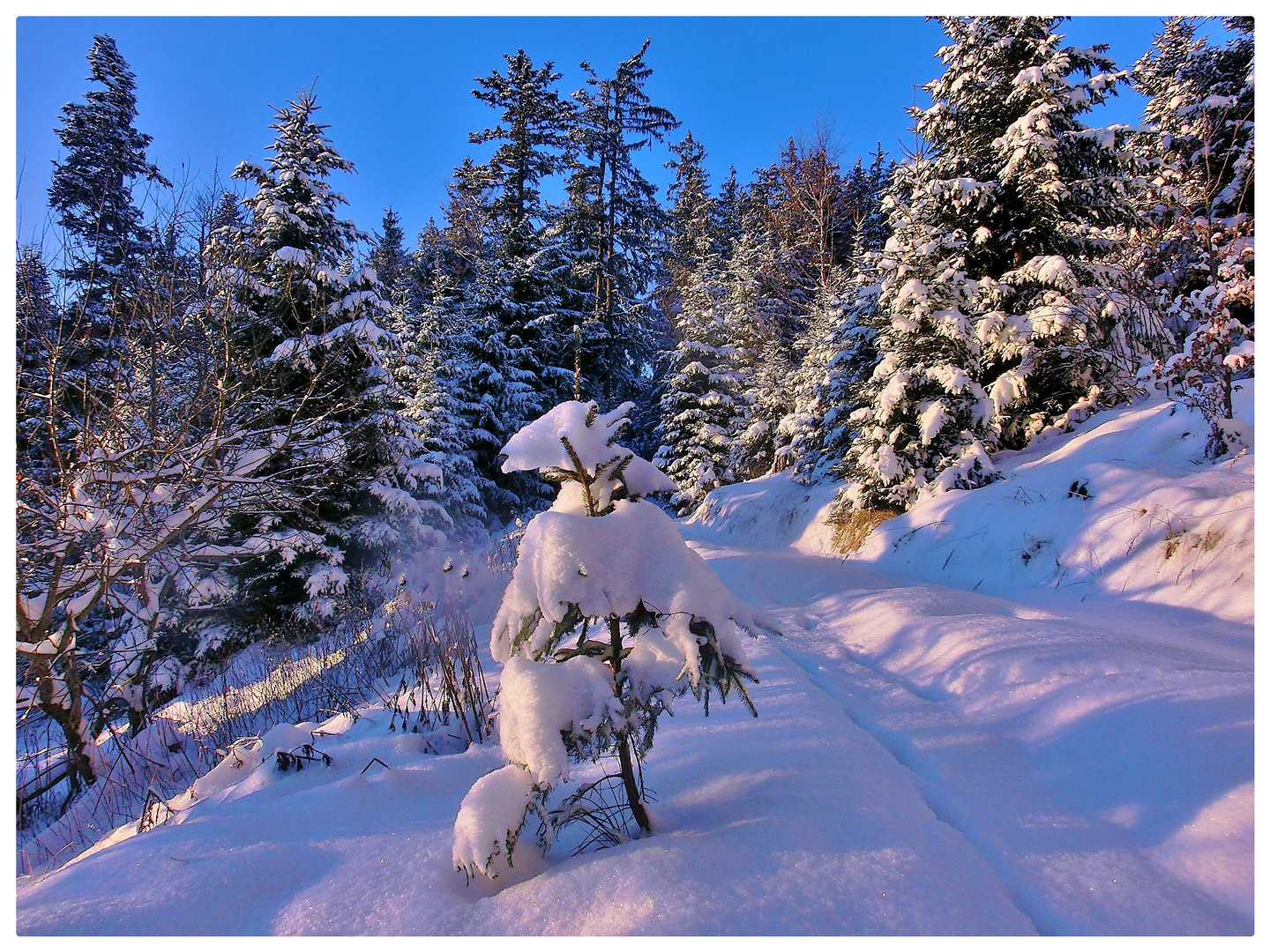 Wintermärchen Foto & Bild  landschaften, natur, landschaft Bilder auf 