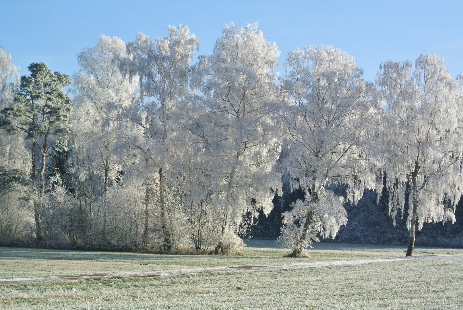 Wintermärchen Dez. 13