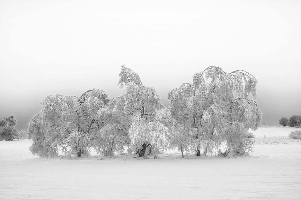 Wintermärchen