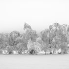 Wintermärchen