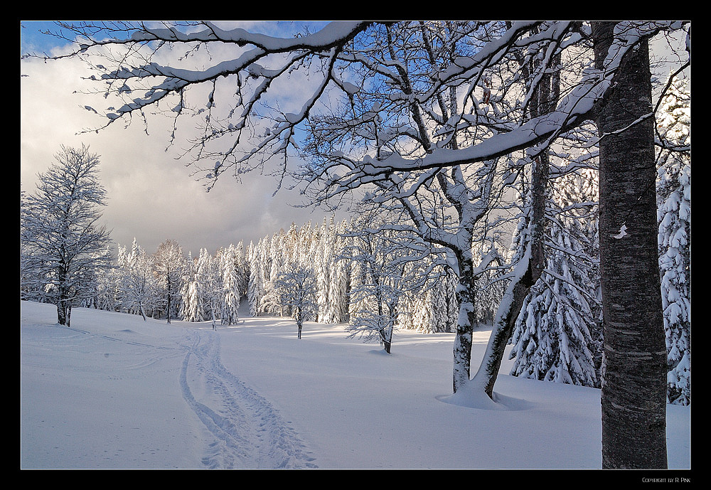 ~~~ Wintermärchen ~~~