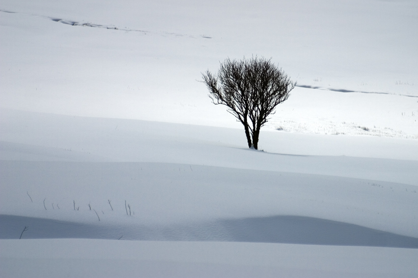 Wintermärchen von anja.proehle 