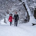 Wintermärchen - Ein perfektes Paar