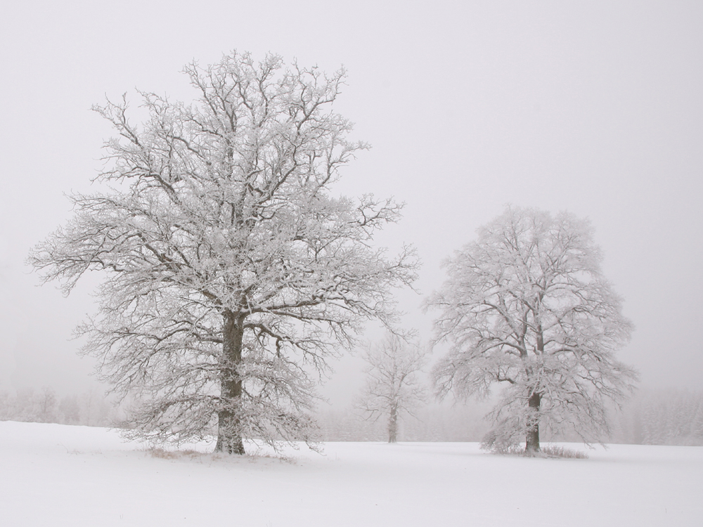 Wintermärchen