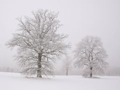 Wintermärchen