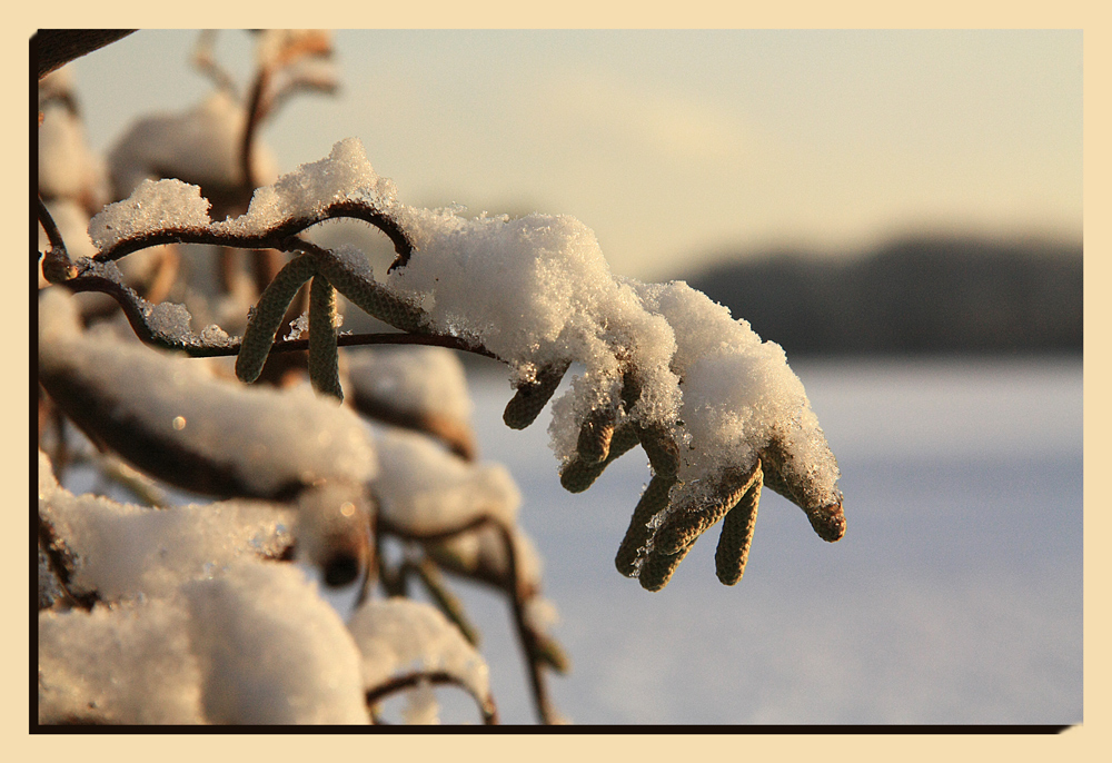 Wintermärchen