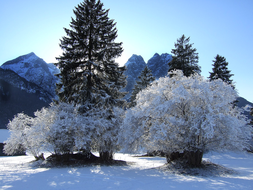 Wintermärchen