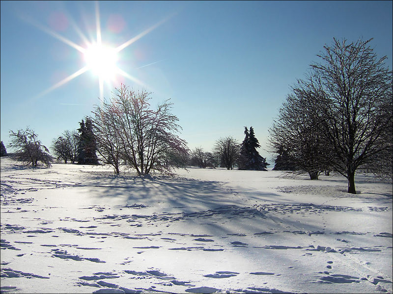 Wintermärchen gegen das Licht