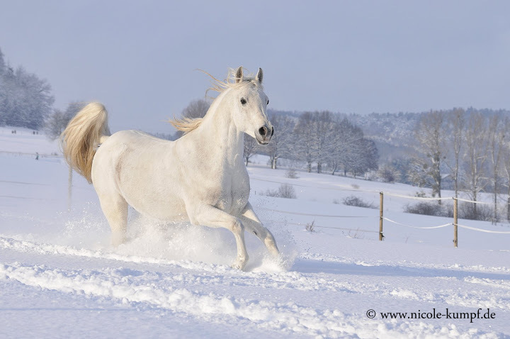 Wintermärchen II