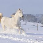 Wintermärchen II