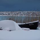 Wintermärchen II auf Rügen