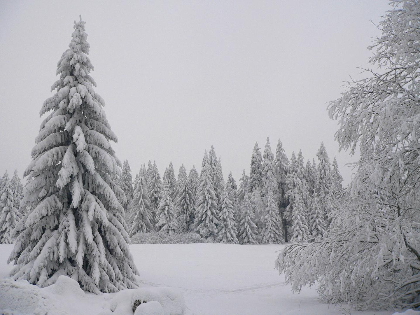 Wintermärchen II