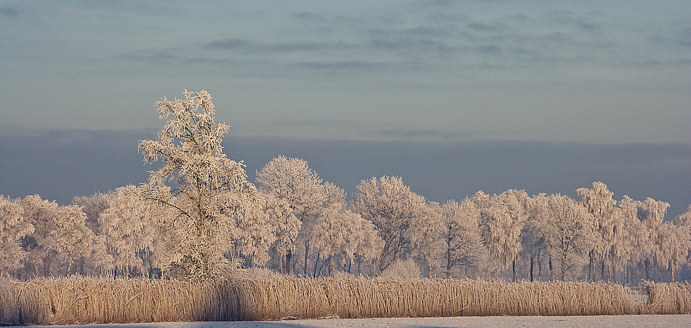 Wintermärchen II