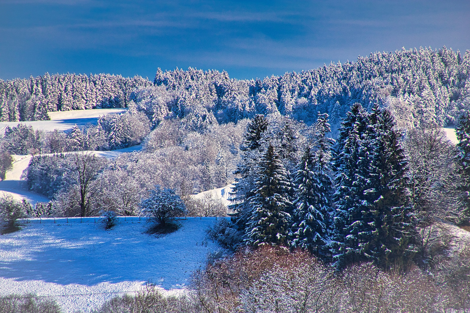 Wintermärchen im Allgäu