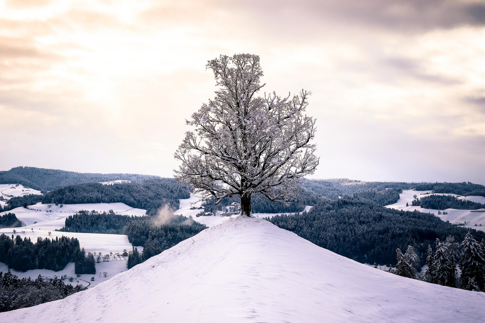 Wintermärchen im Emmental 