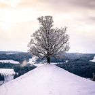 Wintermärchen im Emmental 