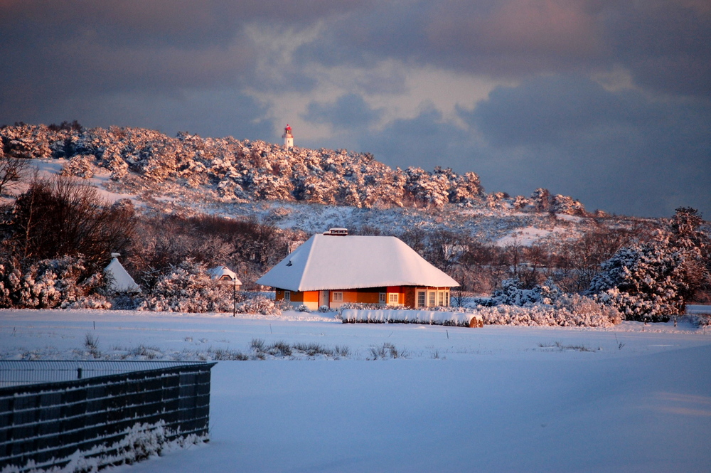 Wintermärchen Im Janaur auf der Insel Hiddensee Foto & Bild  deutschland, europe, mecklenburg 