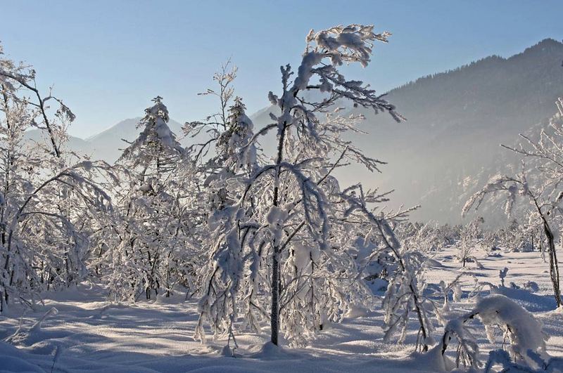 WINTERMÄRCHEN IM LOISACHTAL