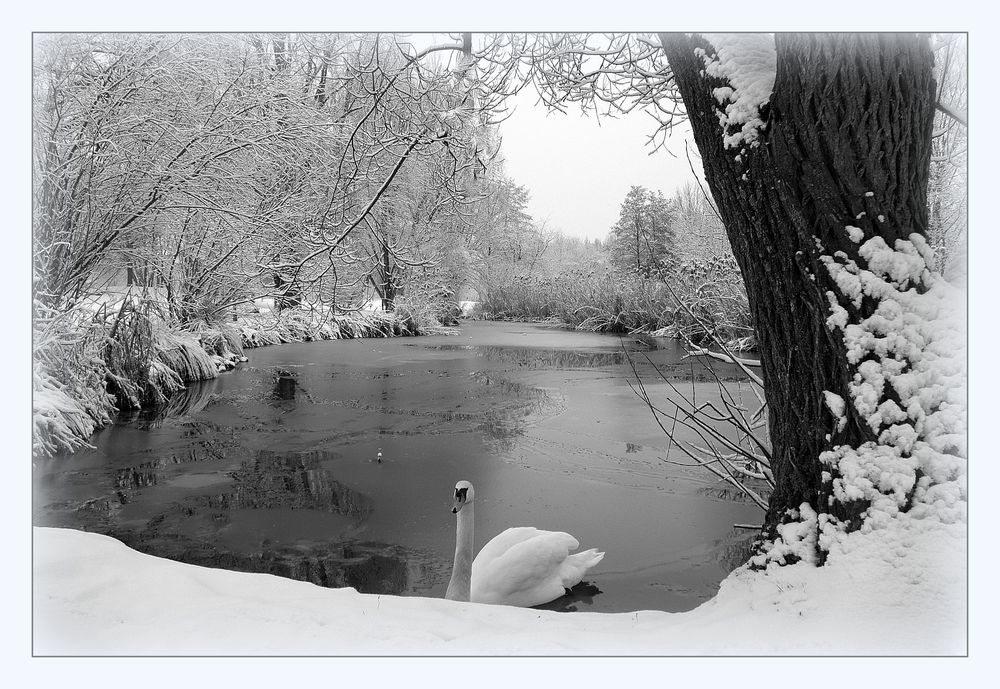 Wintermärchen im Park