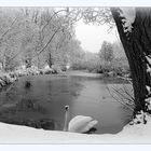 Wintermärchen im Park