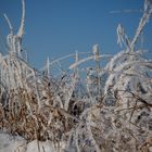 Wintermärchen im Rheinland #1