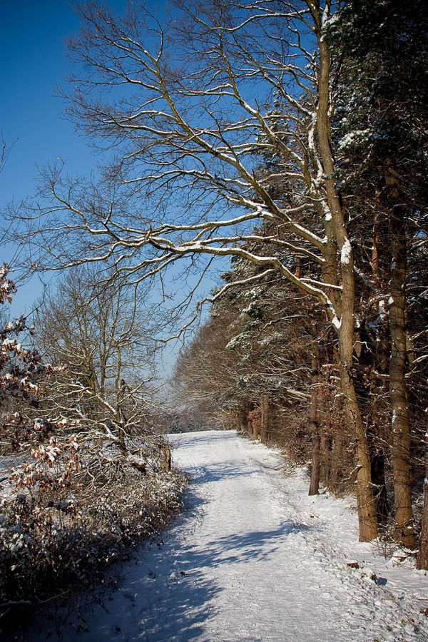 Wintermärchen im Rheinland #4