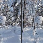 Wintermärchen in 3D (2)