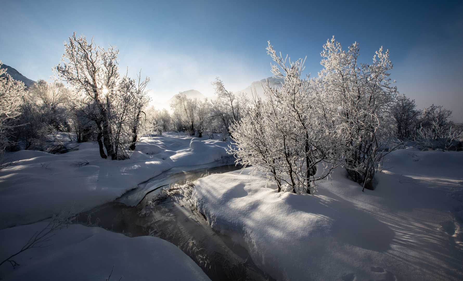 Wintermärchen in der Auenlandschaft 