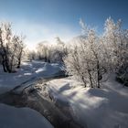 Wintermärchen in der Auenlandschaft 