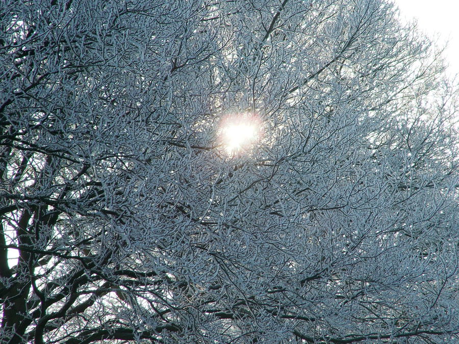 Wintermärchen in Marx