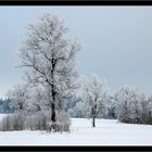 Wintermärchen in Türkis