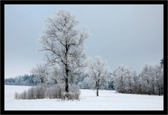 Wintermärchen in Türkis