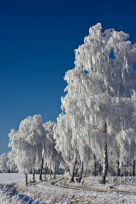 Wintermärchen IV