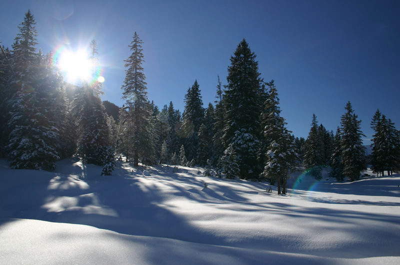 Wintermärchen, Langis (Schweiz)