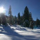 Wintermärchen, Langis (Schweiz)