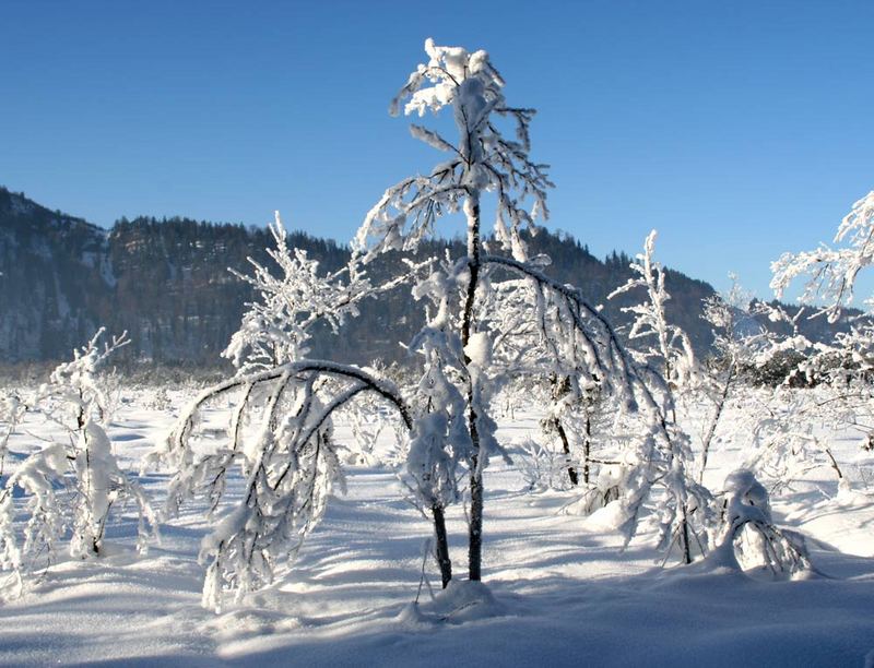 WINTERMÄRCHEN LOISACHTAL 4