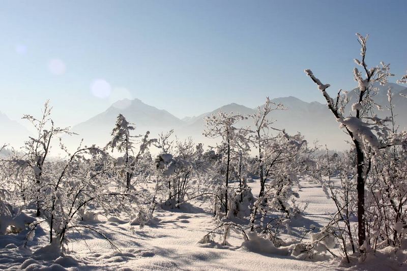 WINTERMÄRCHEN LOISACHTAL5