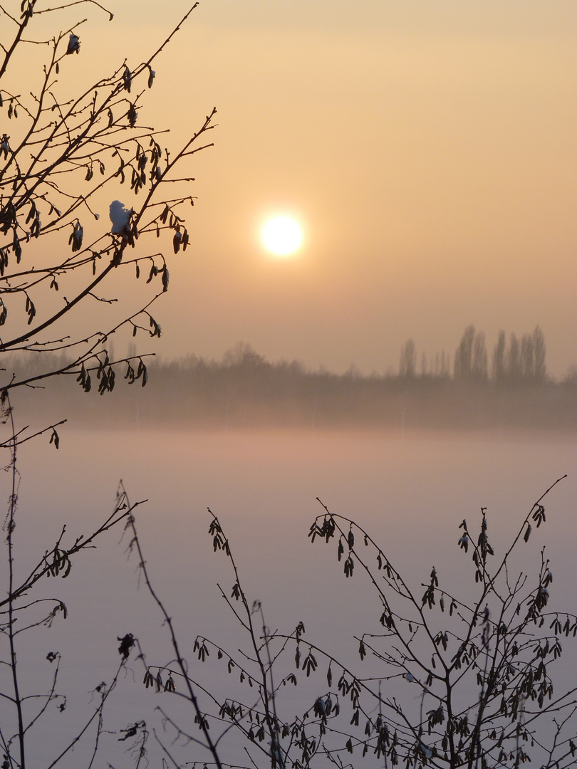 Wintermärchen mit Schnee, Sonne und Bodennebel