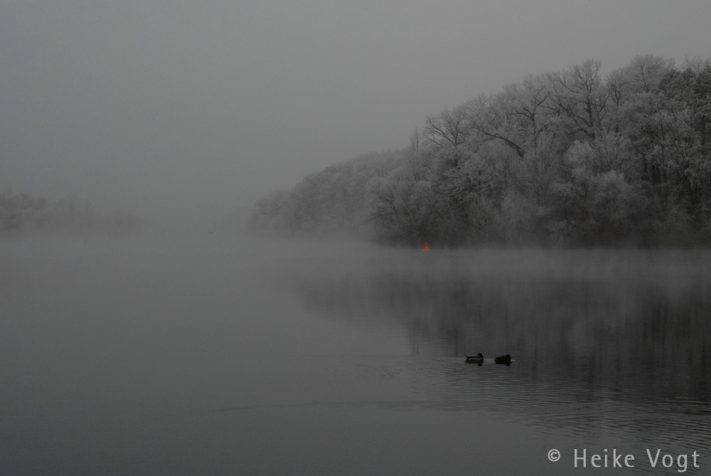 Wintermärchen Potsdam - Griebnitzsee